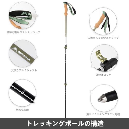BISINNA トレッキングポール 63-135cm伸縮式 軽量7075アルミ製 2本セット 登山用ストック コルクグリップ 調節ストラップ ウオーキング アウトドア バイキング 登山 男女兼用 専用収納袋付き 高齢者(若竹色グリーン) 最後 画像