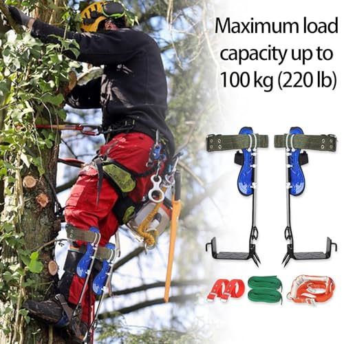 木登り用拍車、木登り用スパイクセット | 調整可能なツリースパイク ツリー作業ツール - 樹木医、家庭園芸、果物狩りのための安全ストラップ付き登山用品 中間 画像