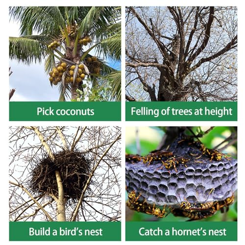 木登り用拍車、木登り用スパイクセット | 調整可能なツリースパイク ツリー作業ツール - 樹木医、家庭園芸、果物狩りのための安全ストラップ付き登山用品 中間 画像