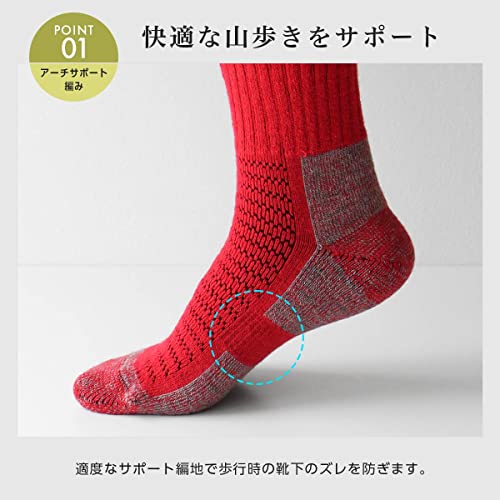 [ナイガイ] メリノウール 登山 ソックス MOUNTAINEERING SOCKS 山登り トレッキング ロングトレイル スキー スノーボード クルー丈 毛混 抗菌防臭 パイル編み メンズ＆レディース ソックス 靴下 男性 女性 紳士 婦人 プレゼント ギフト 90301018 (23-25cm, 95.グレー) 中間 画像